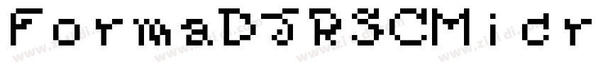 FormaDJRSCMicro Regu字体转换